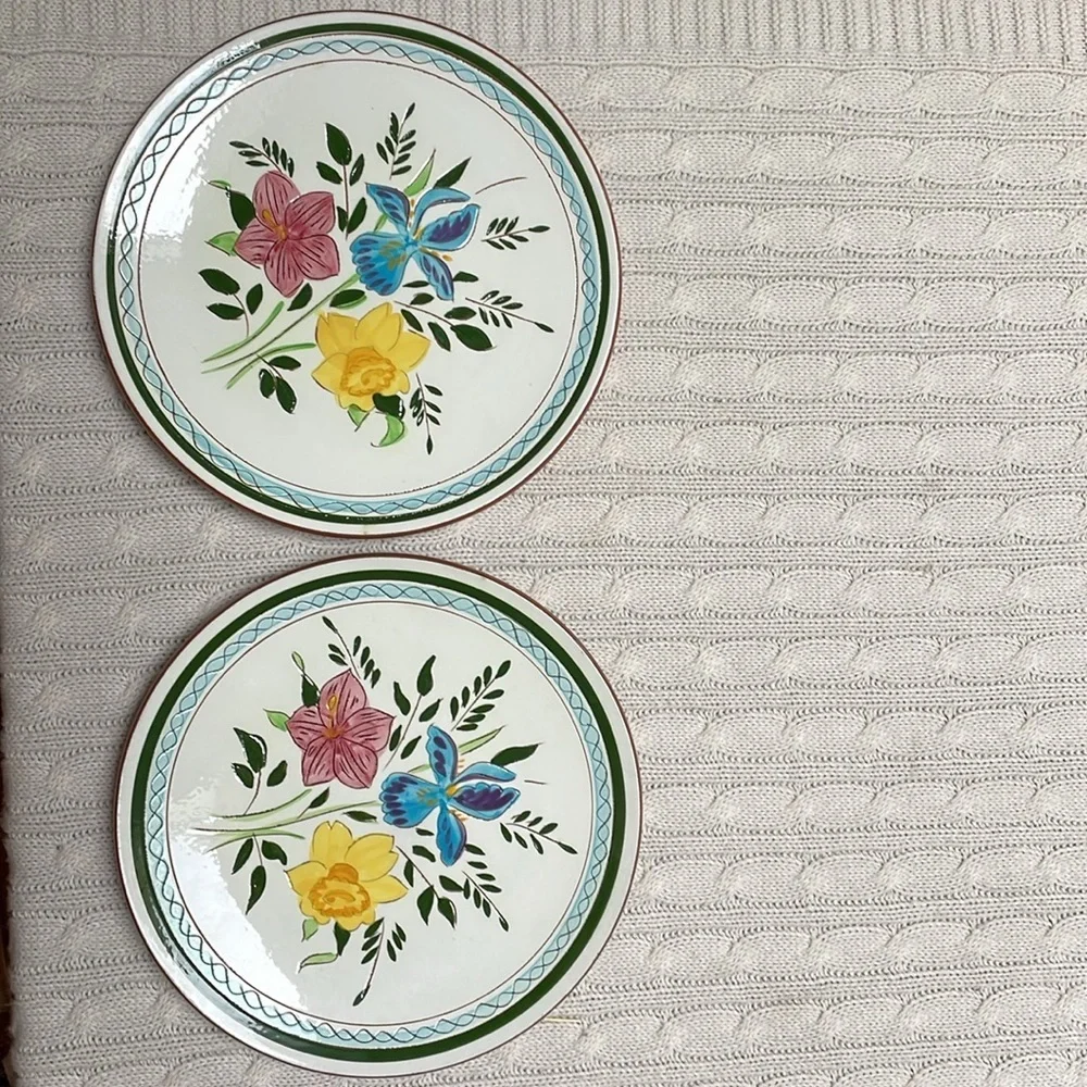 2 VTG Stangl 10” dinner plates Country Garden. Blue iris daffodil hand painted